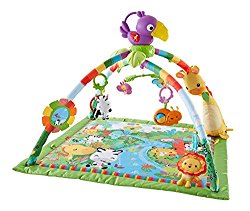 Fisher-Price Music and Lights Deluxe Gym, Rainforest