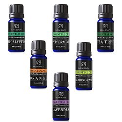 Aromatherapy Top 6 Essential Oils 100% Pure & Therapeutic grade – Basic Sampler Gift Set & Premium Kit – 6/10 Ml (Lavender, Tea Tree, Eucalyptus, Lemongrass, Orange, Peppermint)