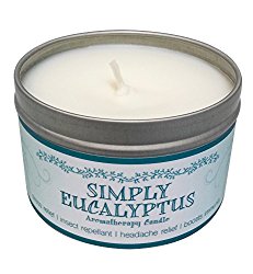 Our Own Candle Company Soy Wax Aromatherapy Scented Candle, Simply Eucalyptus, 6.5 Ounce