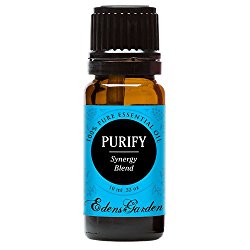 Purify Synergy Blend Essential Oil (previously known as Purification) by Edens Garden (Eucalyptus, Grapefruit, Lemon, Lemongrass and Lime)- 10 ml