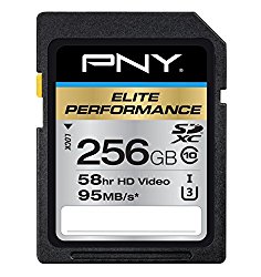 PNY Elite Performance 256 GB High Speed SDXC Class 10 UHS-I, U3 up to 95 MB/Sec Flash Card (P-SDX256U395-GE)