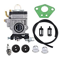 HIPA 300486 Carburetor with Repower Tune-Up Kit for Earthquake E43 E43CE E43WC Auger MC43 MC43E MC43CE MC43ECE MC43RCE Tiller MD43 WE43 WE43E WE43CE Edger