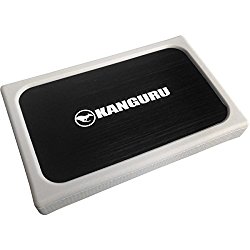 Kanguru Solutions 2.5-Inch 256 GB Portable External Solid State Drive QSSD-2H-256GB
