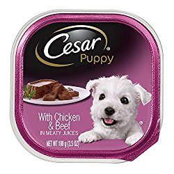 CESAR Canine Cuisine Puppy with Chicken and Beef Puppy Food Trays 3.5 Ounces (Pack of 24)