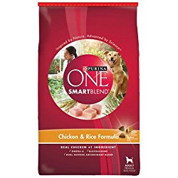 Purina ONE SmartBlend Dry Dog Food, Chicken & Rice Formula, 31.1-Pound Bag, Pack of 1