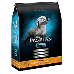 Purina Pro Plan Dry Dog Food, Focus, Puppy Chicken & Rice Formula, 34-Pound Bag, Pack of 1