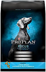 Purina Pro Plan Dry Dog Food, Focus, Puppy Large Breed Chicken & Rice Formula, 34-Pound Bag, Pack of 1