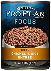 Purina Pro Plan Wet Dog Food, Focus, Puppy Chicken & Rice Entree Classic, 13-Ounce Can, Pack of 12