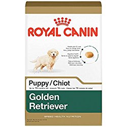 ROYAL CANIN BREED HEALTH NUTRITION Golden Retriever Puppy dry dog food, 30-Pound