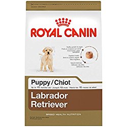 ROYAL CANIN BREED HEALTH NUTRITION Labrador Retriever Puppy dry dog food, 30-Pound
