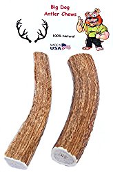 Big Dog Elk Antler Chews, Whole Pieces for Medium to Large Dogs, 2-Pack (6-10 Inches Long)