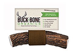 Elk Antler Dog Chews by Buck Bone Organics, All Natural Healthy Chew For Medium Size Dogs, From Montana Elk, Made in USA