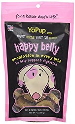 Yoghund YoPup Happy Belly Wheat Free Biscuits with Yogurt Probiotic Icing for Pets, 7-Ounce