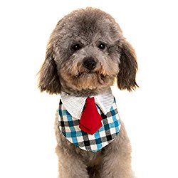 Alfie Pet by Petoga Couture – Morgan Bandana for Dogs and Cats – Color: Blue Plaid, Size: Small