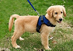 Copatchy No Pull Reflective Adjustable Dog Harness With Handle (medium blue)