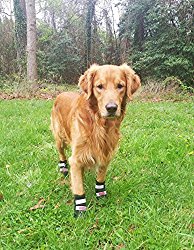 All Weather Neoprene Paw Protector Dog Boots with Reflective Velcro Straps in 5 Sizes! (XL (4×3.75 in.)) Travel Zipper Case Included!