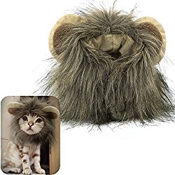 MEWTOGO Lion Mane Wig Funny Cat Kitty Little Puppy Costume – Adorable Pet Turned Hat(M)