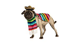 Rubie’s Pet Costume, Small, Mexican Serape