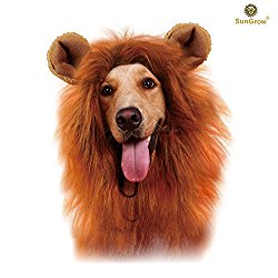 SunGrow Lion Mane Costume with Ears for Big Dogs & Cats: Get your pet dressed up in the cute adorable mane ever! Perfect for Halloween & Costume Parties