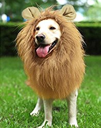 YOUTHINK Lion Mane for Dog Large Medium with Ears Pet Lion Mane Costume Button Adjustable Holiday Photo Shoots Party Festival Occasion Light Brown