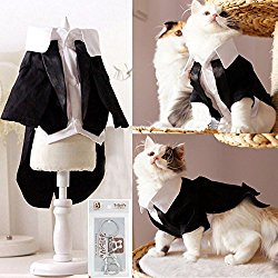 i’Pet Handsome Prince Cat Bridegroom Wedding Tuxedo Faux Twinset Design Small Boy Dog Formal Attire Doggy Party Wear Puppy Birthday Outfit Doggie Photo Apparel with Buttons Holiday Fabric Clothes Halloween Classics Collection Costume (Black Tuxedo, Small)