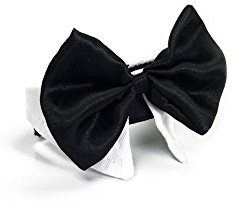 Platinum Pets Formal Pet Bow Tie and Collar, 9 to 10-Inch, White