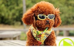 Namsan Fashion Anti-ultraviolet Sunglasses Goggles Waterproof Pet Sunglasses For Cats or Small Dogs – Yellow