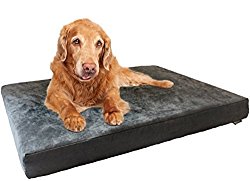 Dogbed4less XXL Large Memory Foam Dog Bed with Gray Suede Cover, Waterproof Internal Liner and Extra Replacement Pet Bed Case, 55X37X4 Inch