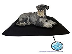 Durable Comfort Micro-cushion Memory Foam Pet Dog Pillow Bed with Waterproof Liner + External Cover for S,M,L Dogs- Complete Set (Black Canvas, 47”x29”)