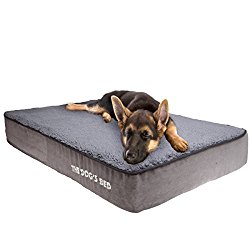 The Dog’s Bed, Premium Orthopedic Memory Foam Waterproof Dog Beds, Many Colors/Sizes, Eases Pain of Arthritis & Hip Dysplasia, Therapeutic & Supportive Bed, Washable Quality Plush Fabric Cover