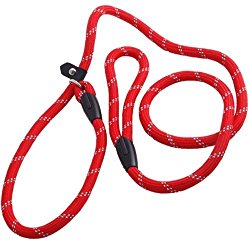 Coolrunner Pet Dog Whisperer Cesar Slip Training Leash Lead Collar (Red)