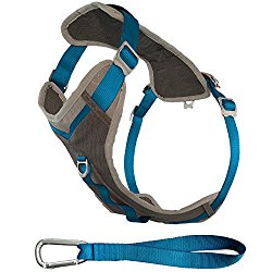 Kurgo Journey Dog Harness, Medium, Blue