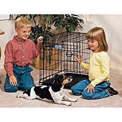 Life Stages Fold & Carry Single-Door Dog Crate Size: Small – 24″ L x 18″ W x 21″ H