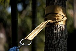 Hammock Tree Straps by Hammock Sky – Best Extra Long Hanging Straps for Camping & Travel – Heavy Duty 1200+ Lbs Capacity – Superior Polyester Material Works with All Hammocks & Larger Trees [Gold]