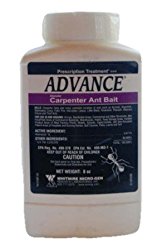8 oz Advance Granular Carpenter Ant Bait ~~ Kills: Carpenter Ants , Acrobat , Argentine , Bigheaded , Crazy , Field , Little Black , Pavement , Pharoah , House , and Theif Ants