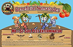 25 Million Live Beneficial Nematodes Hb & Sf – Kills Over 200 Different Species of Soil Dwelling and Wood Boring Insects.