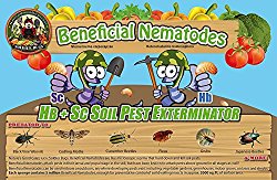 50 million Live Beneficial Nematodes Blend- Hb & Sc – Kills Over 200 Different Species of Soil Dwelling and Wood Boring Insects.