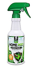 Natural Oust Organic Home Pest Control Spray – 10x STRONGER – Kills & Repels, Ants, Roaches, Spiders, and Other Pests Guaranteed – Natural Insect Killer – Child & Pet Safe – Indoor/Outdoor Spray, 16oz