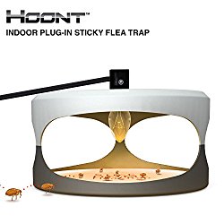 Hoont Indoor Plug-in Sticky Flea Trap with Light and Heat Attracter (Includes 5-Adhesive Glue-Boards) / Get Rid of All Fleas, Bed Bugs, Flies, Etc. – For Residential and Commercial Use