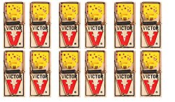 Mouse Traps (Pack of 12)