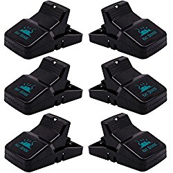 Pest Control Rat Traps (Set of 6) by Kat Sense | Humane Rat Trap for 100% Kill Results | Safe & Sanitary Rodent Killer with Bait Cup | Effective Anti-Rodent Infestation Solution | Reusable & Mess Free