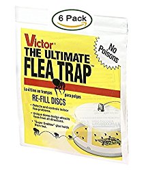 Victor M231 Ultimate Flea Trap Refills, (6 Refills)