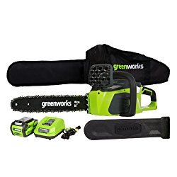 GreenWorks 20312 G-MAX 40V 16-Inch Cordless Chainsaw, 4AH Battery and a Charger Included