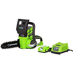 GreenWorks 20362 24V 10-Inch Cordless Chainsaw, 2Ah Battery and Charger Included