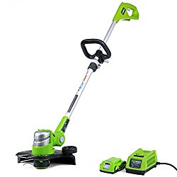 GreenWorks 21342 G-24 24V 12-Inch Cordless String Trimmer, 2AH Battery and Charger Included