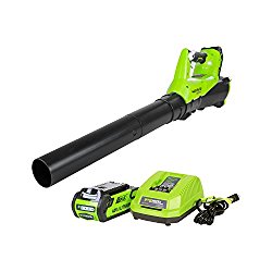 GreenWorks BA40L210 G-MAX 40V 115MPH – 430 CFM Cordless Brushless Blower, 2Ah Battery and Charger Included