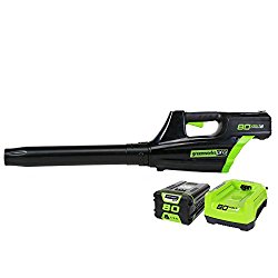 GreenWorks Pro GBL80300 80V 125MPH – 500CFM Cordless Blower, 2Ah Battery and Charger Included
