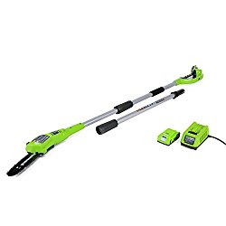 GreenWorks 20352 24V 8-Inch Cordless Pole Saw, 2Ah Battery and Charger Included