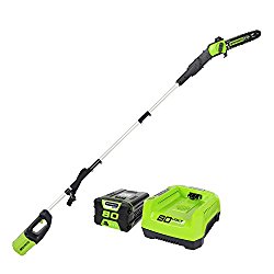GreenWorks Pro PS80L210 80V 10-Inch Cordless Pole Saw, 2Ah Battery and Charger Included