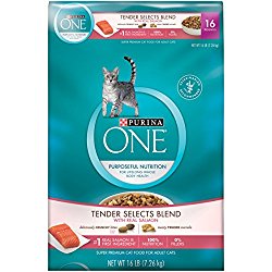 Purina ONE Tender Selects Blend With Real Salmon Dry Cat Food